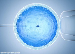 关于清砚堂中医馆